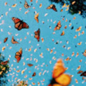 Meet your Posher, Dest